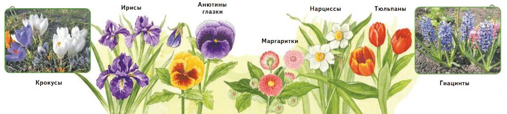 ГДЗ учебник по окружающему миру 2 класс, часть 2. Плешаков (Перспектива)