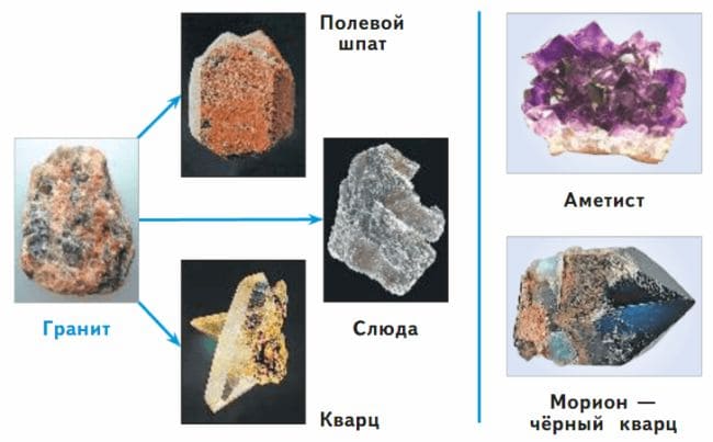 ГДЗ по Окружающему миру, 1 часть, 3 класс, учебник, «Перспектива», Плешаков А.А., Новицая М.Ю.