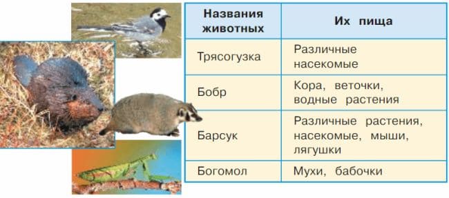 ГДЗ по Окружающему миру, 1 часть, 3 класс, учебник, «Перспектива», Плешаков А.А., Новицая М.Ю.