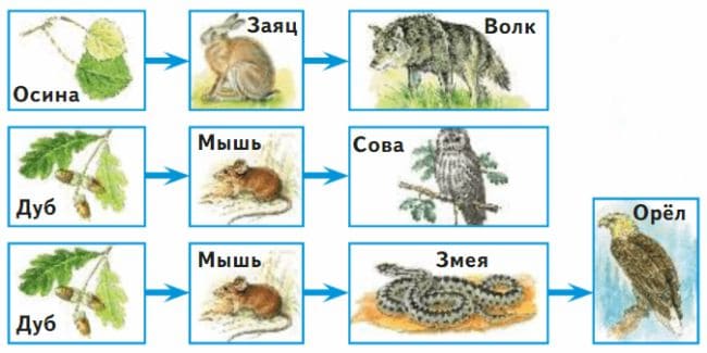 ГДЗ по Окружающему миру, 1 часть, 3 класс, учебник, «Перспектива», Плешаков А.А., Новицая М.Ю.