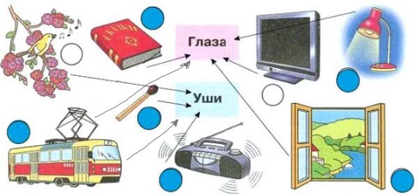 Покажите стрелками, к каким органам чувств они относятся