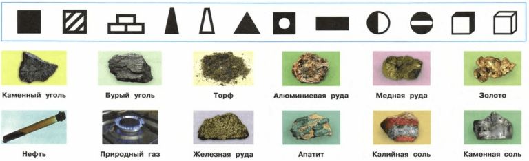 ГДЗ ответы для учебника по окружающему миру 4 класс Плешаков, Перспектива