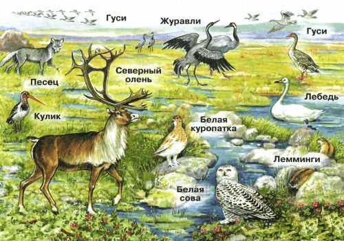 ГДЗ ответы для учебника по окружающему миру 4 класс Плешаков, Перспектива