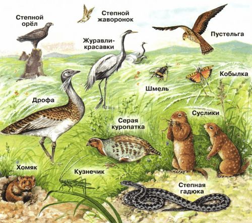 ГДЗ ответы для учебника по окружающему миру 4 класс Плешаков, Перспектива